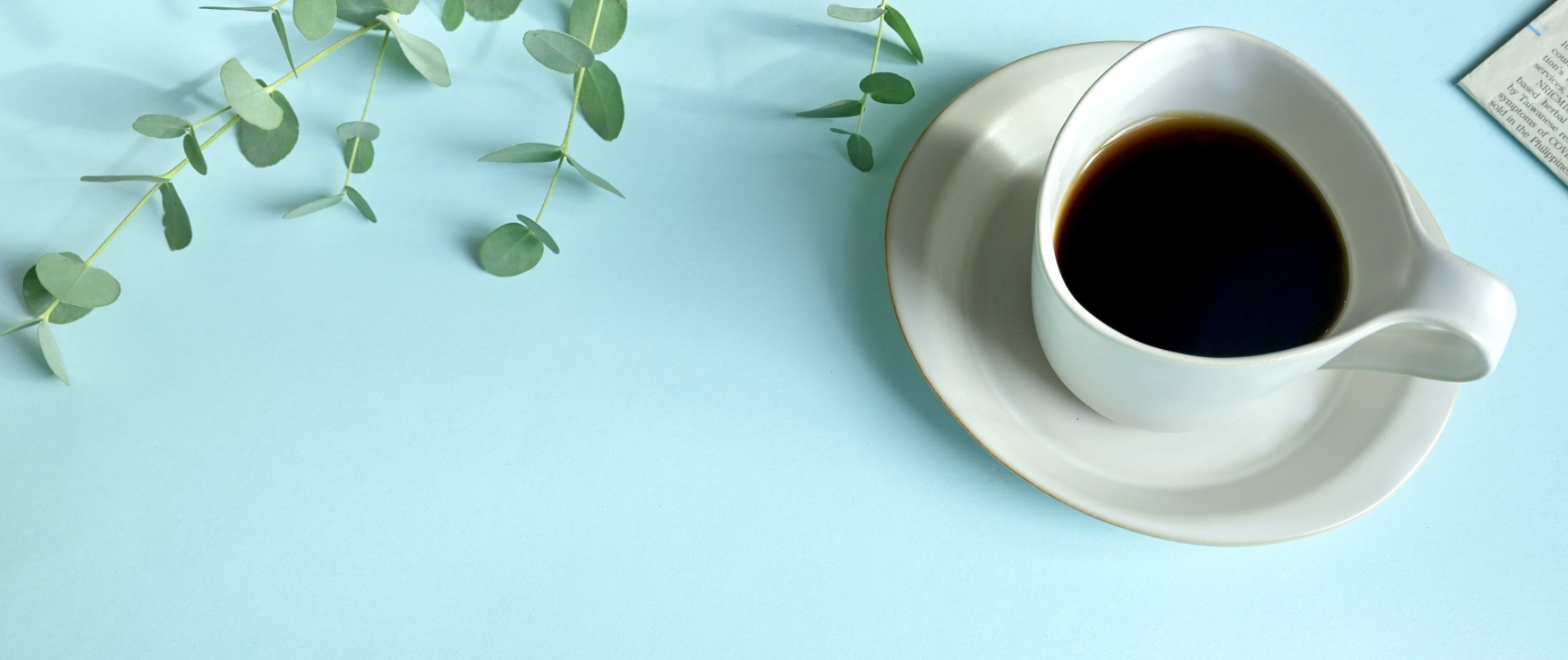 癒しと美味しさの融合カフ